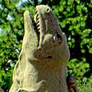 Dinos!