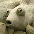 Giant goldfish