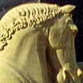 Il Cavallo